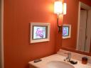 Bathroom TV